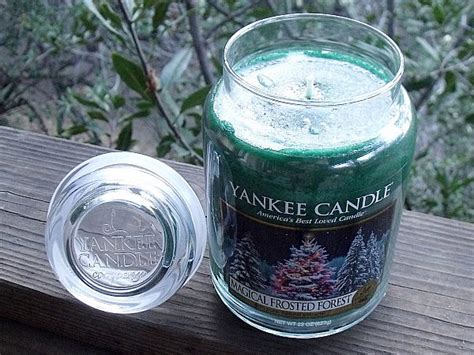 The Revitalizing Properties of the Magical Frosted Fordst Candle: A Breath of Fresh Air